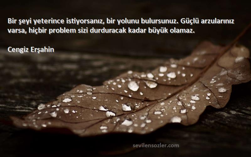 Cengiz Erşahin Sözleri 
Bir şeyi yeterince istiyorsanız, bir yolunu bulursunuz. Güçlü arzularınız varsa, hiçbir problem sizi durduracak kadar büyük olamaz.