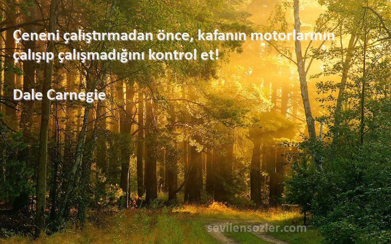 Dale Carnegie Sözleri 
Çeneni çalıştırmadan önce, kafanın motorlarının çalışıp çalışmadığını kontrol et!