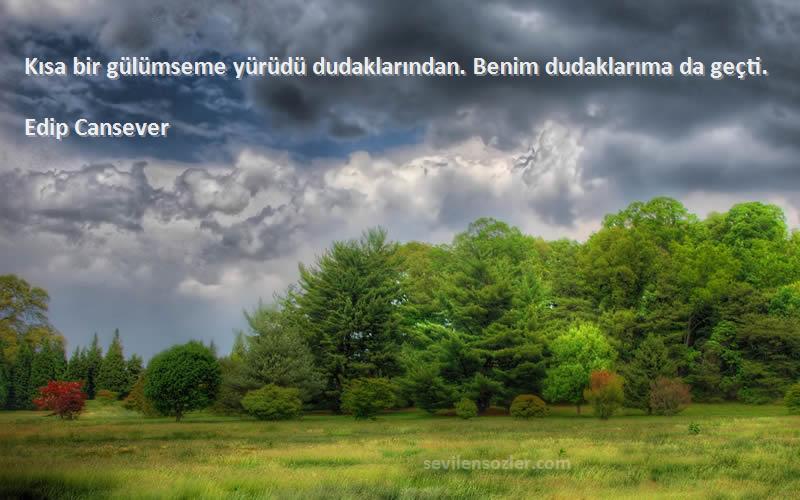 Edip Cansever - Kısa bir gülümseme yürüdü dudaklarından. Benim dudaklarıma da geçti.