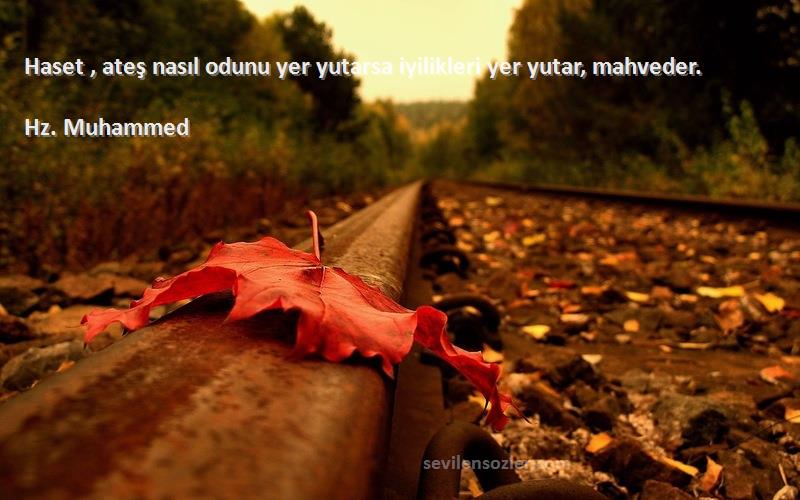 Hz. Muhammed - Haset , ateş nasıl odunu yer yutarsa iyilikleri yer yutar, mahveder.