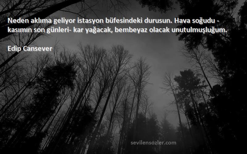 Edip Cansever Sözleri 
Neden aklıma geliyor istasyon büfesindeki durusun. Hava soğudu -kasımın son günleri- kar yağacak, bembeyaz olacak unutulmuşluğum.