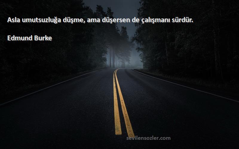 Edmund Burke Sözleri 
Asla umutsuzluğa düşme, ama düşersen de çalışmanı sürdür.