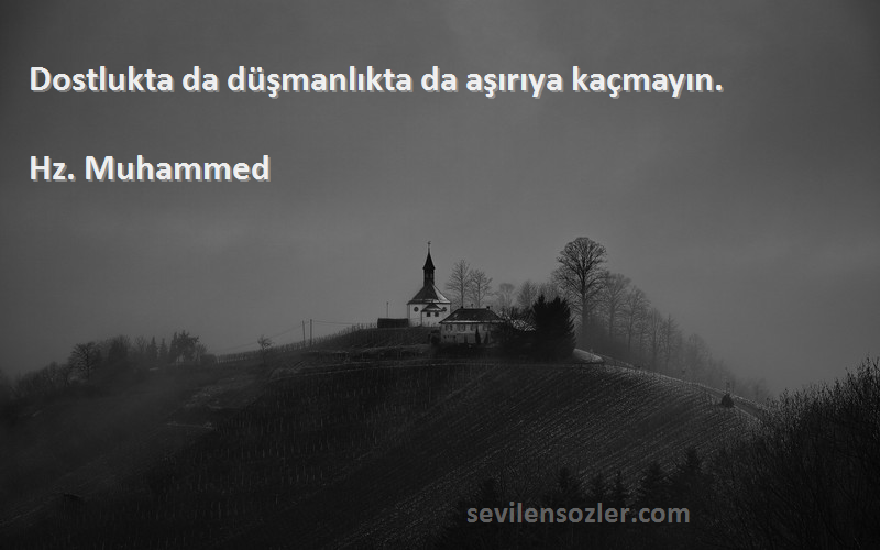 Hz. Muhammed - Dostlukta da düşmanlıkta da aşırıya kaçmayın.