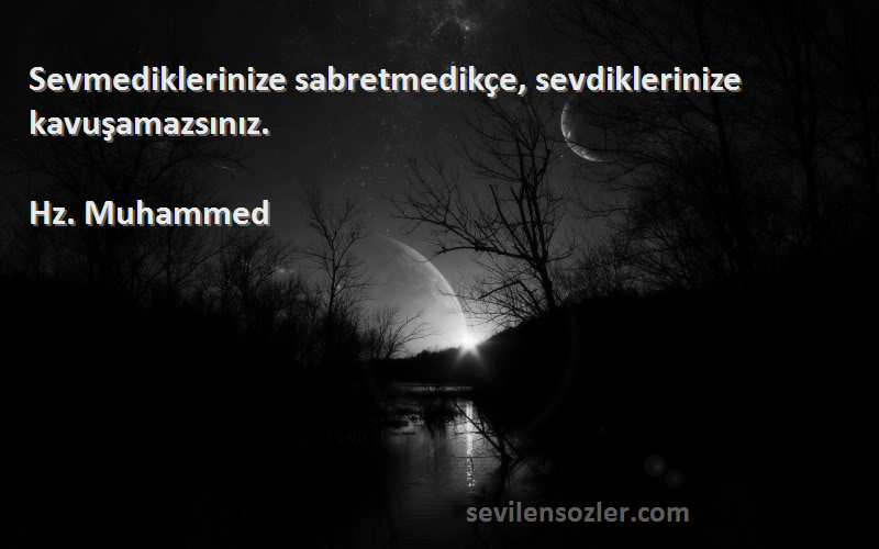 Hz. Muhammed - Sevmediklerinize sabretmedikçe, sevdiklerinize kavuşamazsınız.