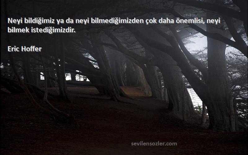 Eric Hoffer - Neyi bildiğimiz ya da neyi bilmediğimizden çok daha önemlisi, neyi bilmek istediğimizdir.