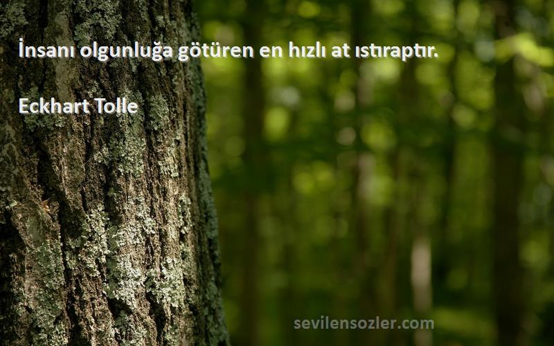 Eckhart Tolle Sözleri 
İnsanı olgunluğa götüren en hızlı at ıstıraptır.