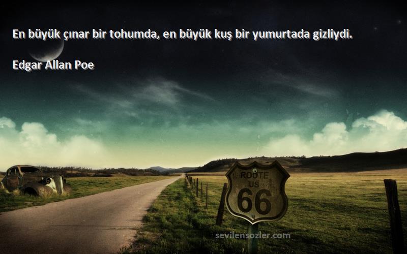 Edgar Allan Poe Sözleri 
En büyük çınar bir tohumda, en büyük kuş bir yumurtada gizliydi.