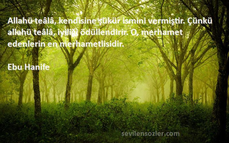Ebu Hanife Sözleri 
Allahü teâlâ, kendisine şükür ismini vermiştir. Çünkü allahü teâlâ, iyiliği ödüllendirir. O, merhamet edenlerin en merhametlisidir.