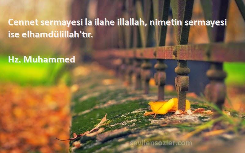 Hz. Muhammed - Cennet sermayesi la ilahe illallah, nimetin sermayesi ise elhamdülillah'tır.
