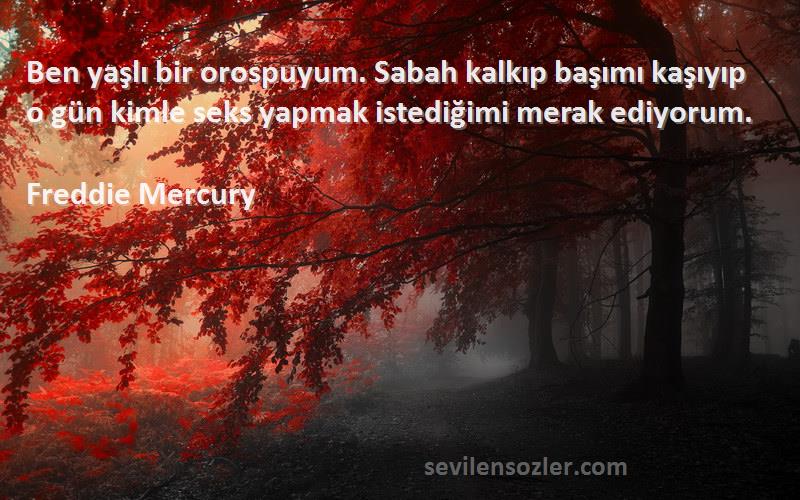 Freddie Mercury Sözleri 
Ben yaşlı bir orospuyum. Sabah kalkıp başımı kaşıyıp o gün kimle seks yapmak istediğimi merak ediyorum.