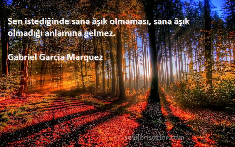 Gabriel Garcia Marquez - Sen istediğinde sana âşık olmaması, sana âşık olmadığı anlamına gelmez.