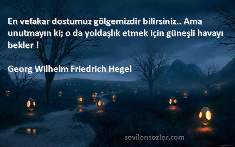 Georg Wilhelm Friedrich Hegel Sözleri 
En vefakar dostumuz gölgemizdir bilirsiniz.. Ama unutmayın ki; o da yoldaşlık etmek için güneşli havayı bekler !