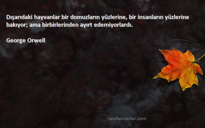 George Orwell Sözleri 
Dışarıdaki hayvanlar bir domuzların yüzlerine, bir insanların yüzlerine bakıyor; ama birbirlerinden ayırt edemiyorlardı.