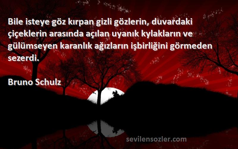 Bruno Schulz Sözleri 
Bile isteye göz kırpan gizli gözlerin, duvardaki çiçeklerin arasında açılan uyanık kylakların ve gülümseyen karanlık ağızların işbirliğini görmeden sezerdi.