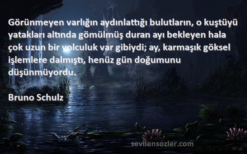 Bruno Schulz Sözleri 
Görünmeyen varlığın aydınlattığı bulutların, o kuştüyü yatakları altında gömülmüş duran ayı bekleyen hala çok uzun bir yolculuk var gibiydi; ay, karmaşık göksel işlemlere dalmıştı, henüz gün doğumunu düşünmüyordu.