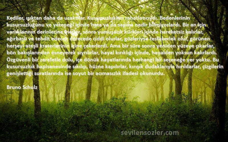 Bruno Schulz Sözleri 
Kediler, ışıktan daha da uzaktılar. Kusursuzlukları rahatlatıcıydı. Bedenlerinin kusursuzluğunu ve yeteneği içinde hata ya da sapma nedir bilmiyorlardı. Bir an için varlıklarının derinlerine inerler, sonra yumuşacık kürkleri içinde hareketsiz kalırlar, ağırbaşlı ve tehdit edecek derecede ciddi olurlar, gözleriyse testekerlek olur, görünen herşeyi ateşli kraterlerinin içine çekerlerdi. Ama bir süre sonra yeniden yüzeye çıkarlar, bön bakışlarından esneyerek sıyrılırlar, hayal kırıklığı içinde, hayalden yoksun kalırlardı. Özgüvenli bir zarafetle dolu, içe dönük hayatlarında herhangi bir seçeneğe yer yoktu. Bu kusursuzluk hapisanesinde sıkılıp, hüzne kapılırlar, kırışık dudaklarıyla hırıldarlar, çizgilerin genişlettiği suratlarında ise soyut bir acımasızlık ifadesi okunurdu.