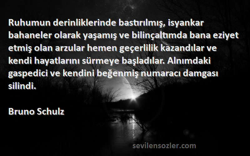 Bruno Schulz Sözleri 
Ruhumun derinliklerinde bastırılmış, isyankar bahaneler olarak yaşamış ve bilinçaltımda bana eziyet etmiş olan arzular hemen geçerlilik kazandılar ve kendi hayatlarını sürmeye başladılar. Alnımdaki gaspedici ve kendini beğenmiş numaracı damgası silindi.