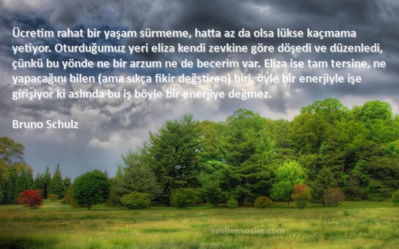 Bruno Schulz Sözleri 
Ücretim rahat bir yaşam sürmeme, hatta az da olsa lükse kaçmama yetiyor. Oturduğumuz yeri eliza kendi zevkine göre döşedi ve düzenledi, çünkü bu yönde ne bir arzum ne de becerim var. Eliza ise tam tersine, ne yapacağını bilen (ama sıkça fikir değştiren) biri, öyle bir enerjiyle işe girişiyor ki aslında bu iş böyle bir enerjiye değmez.