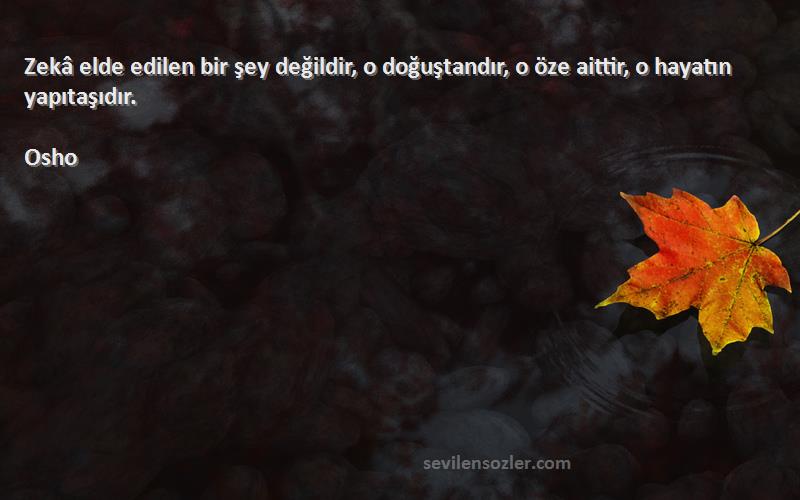 Osho - Zekâ elde edilen bir şey değildir, o doğuştandır, o öze aittir, o hayatın yapıtaşıdır.