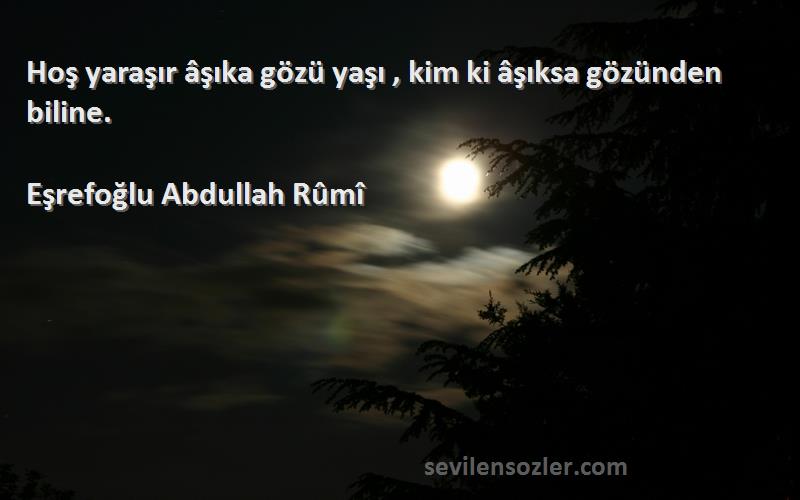 Eşrefoğlu Abdullah Rûmî - Hoş yaraşır âşıka gözü yaşı , kim ki âşıksa gözünden biline.
