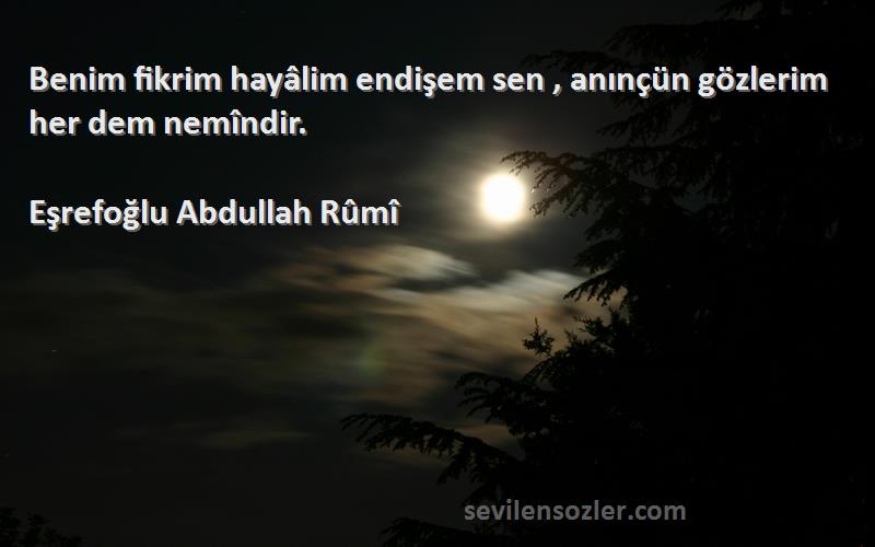 Eşrefoğlu Abdullah Rûmî - Benim fikrim hayâlim endişem sen , anınçün gözlerim her dem nemîndir.