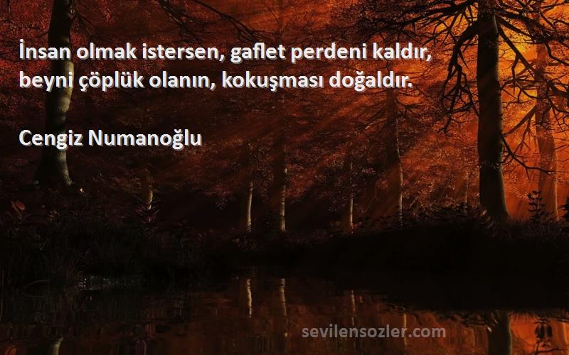 Cengiz Numanoğlu Sözleri 
İnsan olmak istersen, gaflet perdeni kaldır,
beyni çöplük olanın, kokuşması doğaldır.