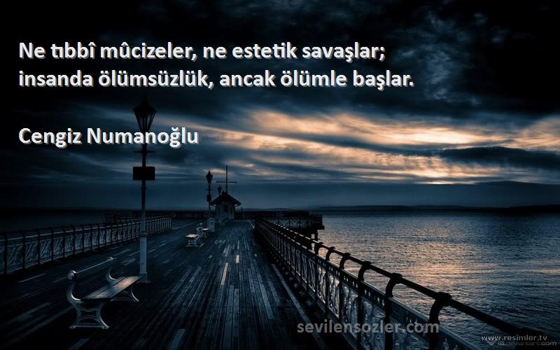 Cengiz Numanoğlu - Ne tıbbî mûcizeler, ne estetik savaşlar;
insanda ölümsüzlük, ancak ölümle başlar.