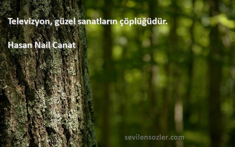 Hasan Nail Canat - Televizyon, güzel sanatların çöplüğüdür.