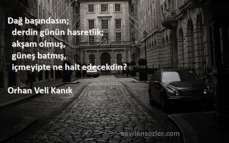 Orhan Veli Kanık Sözleri 
Dağ başındasın;
  derdin günün hasretlik;
  akşam olmuş,
  güneş batmış,
  içmeyipte ne halt edecekdin?