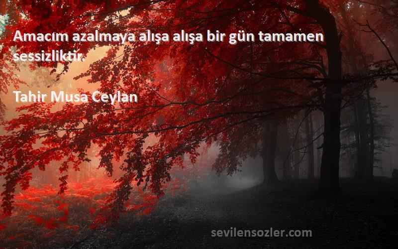 Tahir Musa Ceylan - Amacım azalmaya alışa alışa bir gün tamamen sessizliktir.