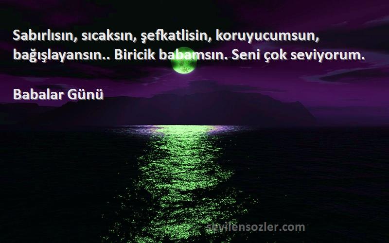 Babalar Günü Sözleri 
Sabırlısın, sıcaksın, şefkatlisin, koruyucumsun, bağışlayansın.. Biricik babamsın. Seni çok seviyorum.