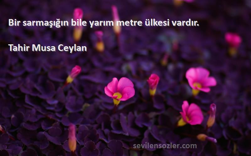 Tahir Musa Ceylan - Bir sarmaşığın bile yarım metre ülkesi vardır.