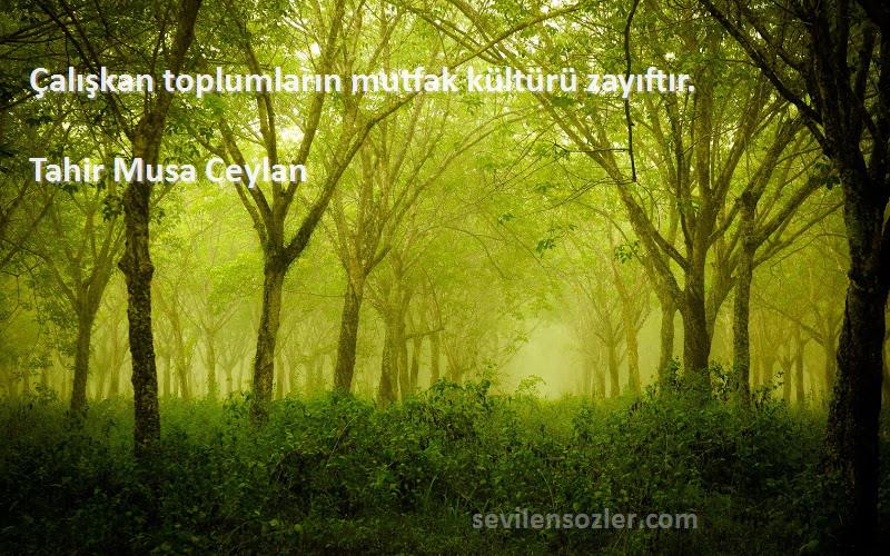 Tahir Musa Ceylan - Çalışkan toplumların mutfak kültürü zayıftır.