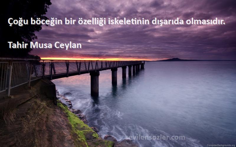 Tahir Musa Ceylan - Çoğu böceğin bir özelliği iskeletinin dışarıda olmasıdır.