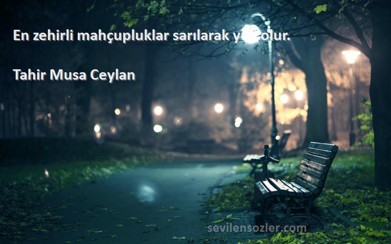 Tahir Musa Ceylan - En zehirli mahçupluklar sarılarak yok olur.