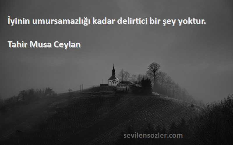 Tahir Musa Ceylan - İyinin umursamazlığı kadar delirtici bir şey yoktur.