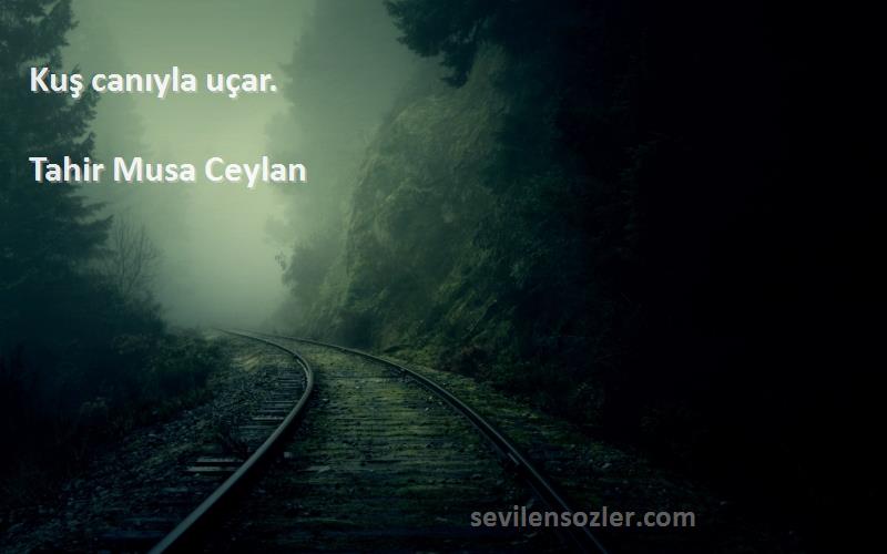 Tahir Musa Ceylan - Kuş canıyla uçar.