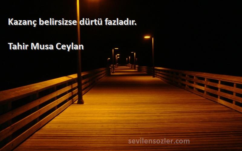 Tahir Musa Ceylan - Kazanç belirsizse dürtü fazladır.