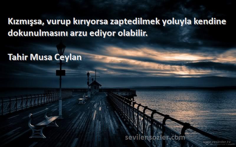 Tahir Musa Ceylan - Kızmışsa, vurup kırıyorsa zaptedilmek yoluyla kendine dokunulmasını arzu ediyor olabilir.