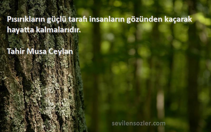 Tahir Musa Ceylan - Pısırıkların güçlü tarafı insanların gözünden kaçarak hayatta kalmalarıdır.