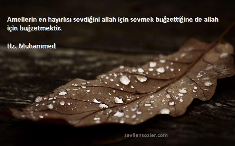 Hz. Muhammed - Amellerin en hayırlısı sevdiğini allah için sevmek buğzettiğine de allah için buğzetmektir.
