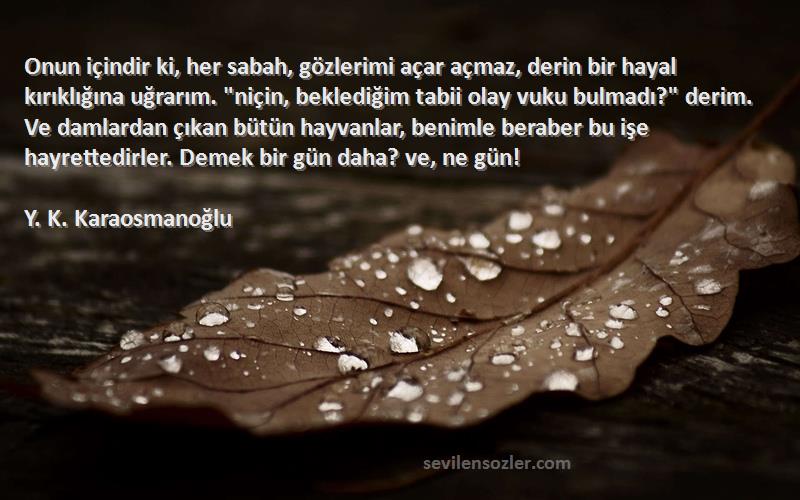 Y. K. Karaosmanoğlu Sözleri 
Onun içindir ki, her sabah, gözlerimi açar açmaz, derin bir hayal kırıklığına uğrarım. niçin, beklediğim tabii olay vuku bulmadı? derim. Ve damlardan çıkan bütün hayvanlar, benimle beraber bu işe hayrettedirler. Demek bir gün daha? ve, ne gün!