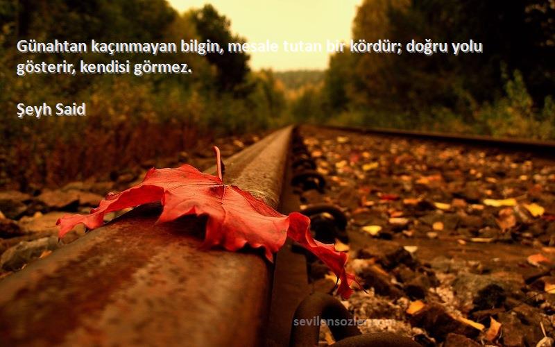 Şeyh Said Sözleri 
Günahtan kaçınmayan bilgin, mesale tutan bir kördür; doğru yolu gösterir, kendisi görmez.