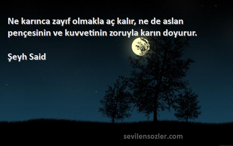 Şeyh Said Sözleri 
Ne karınca zayıf olmakla aç kalır, ne de aslan pençesinin ve kuvvetinin zoruyla karın doyurur.