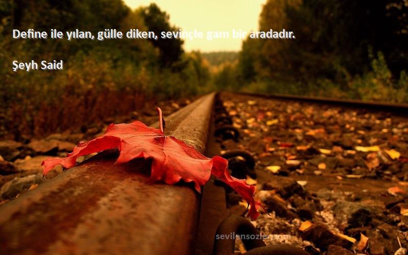 Şeyh Said Sözleri 
Define ile yılan, gülle diken, sevinçle gam bir aradadır.