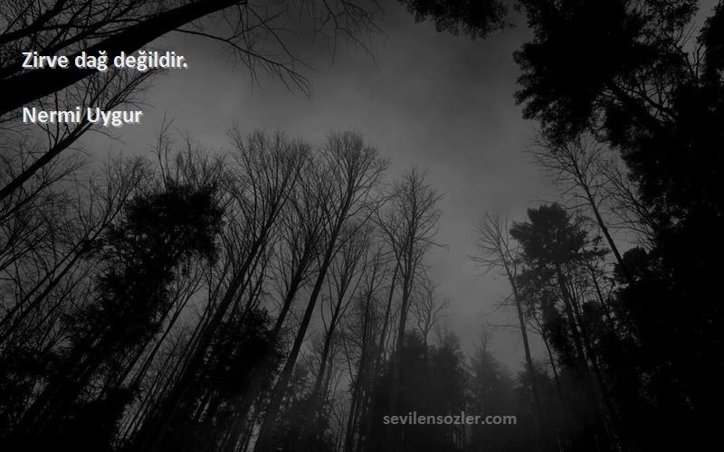Nermi Uygur - Zirve dağ değildir.