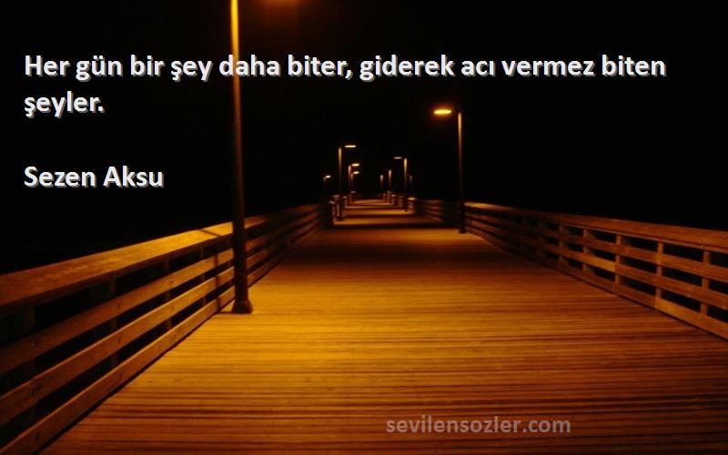 Sezen Aksu - Her gün bir şey daha biter, giderek acı vermez biten şeyler.