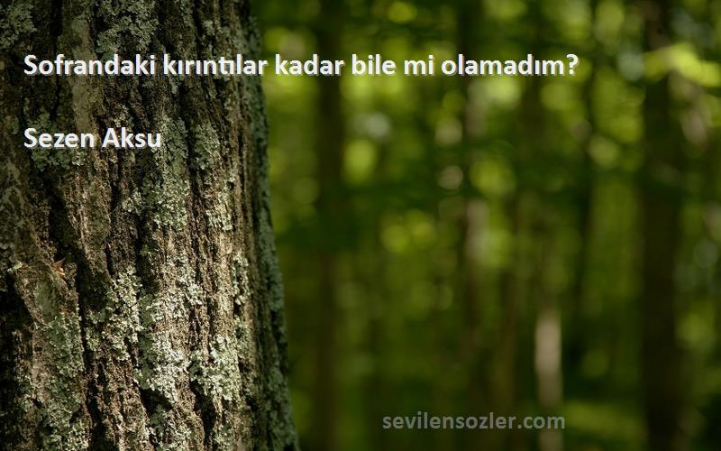 Sezen Aksu - Sofrandaki kırıntılar kadar bile mi olamadım?