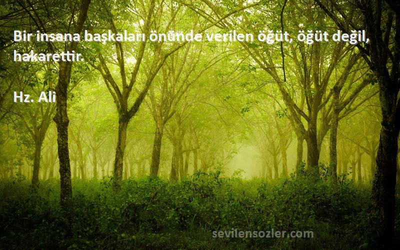 Hz. Ali - Bir insana başkaları önünde verilen öğüt, öğüt değil, hakarettir.