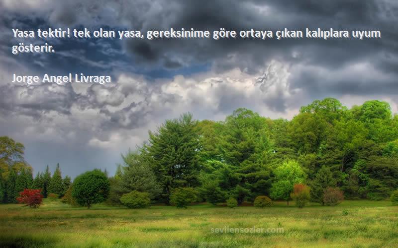 Jorge Angel Livraga - Yasa tektir! tek olan yasa, gereksinime göre ortaya çıkan kalıplara uyum gösterir.